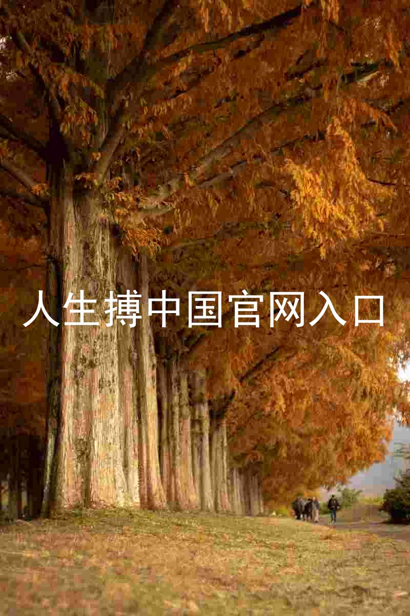 人生搏中国官网入口